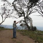 yrtleford - Avventura con il 4x4 sul mt. buffalo national park.